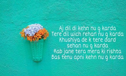Bus tenu apni kehn nu g krda