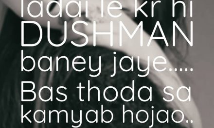 Bas thoda sa kamyab hojao phir dekhna