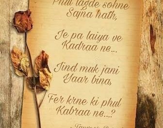 Fer krne ki phul kabraa ne
