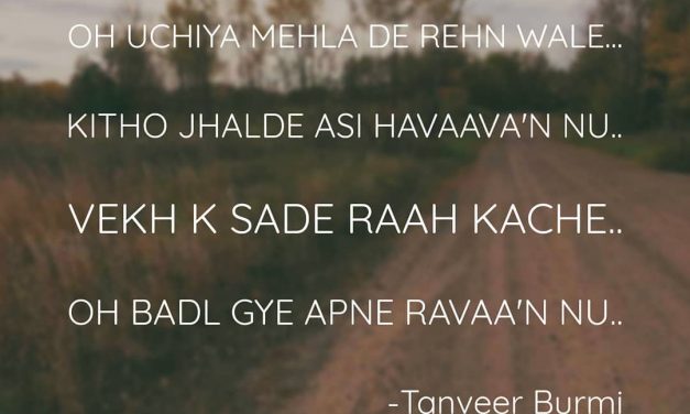 Oh badl gye apne ravaan nu